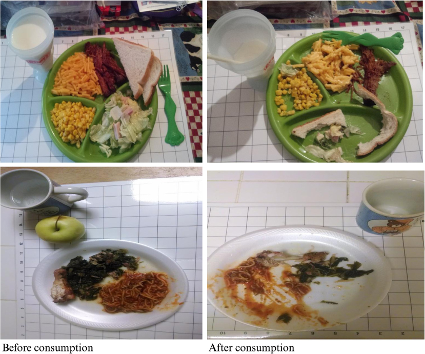 Meal Intake Chart