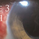 Volume 3 Issue 1