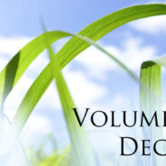 Volume 1, Issue 4S